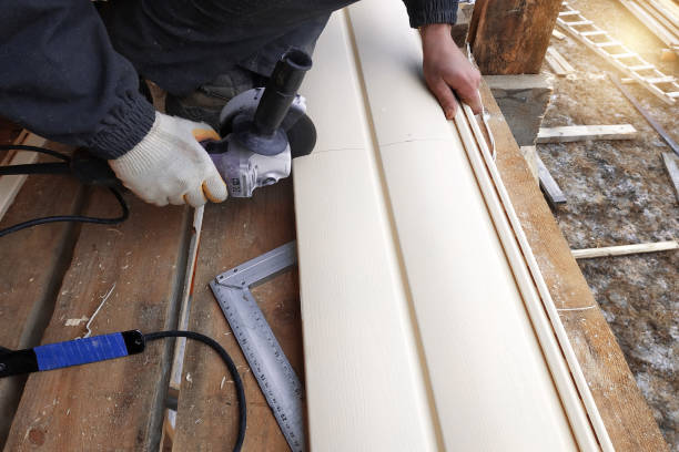 Best Weatherproofing and Sealing  in Worth, IL